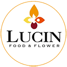 Lucin Logo